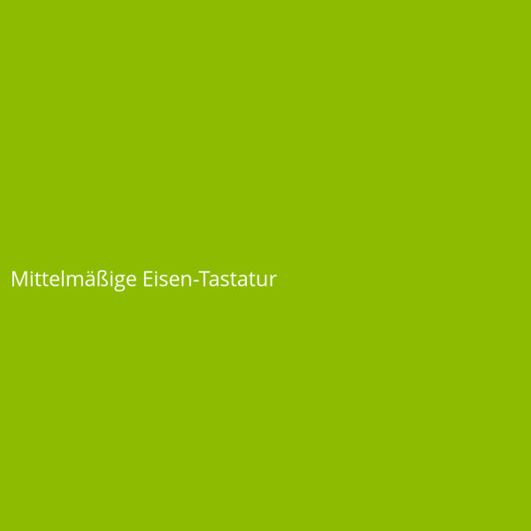 Hantelscheibe, 2er Pack